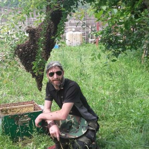 Beekeeping — swarm collection