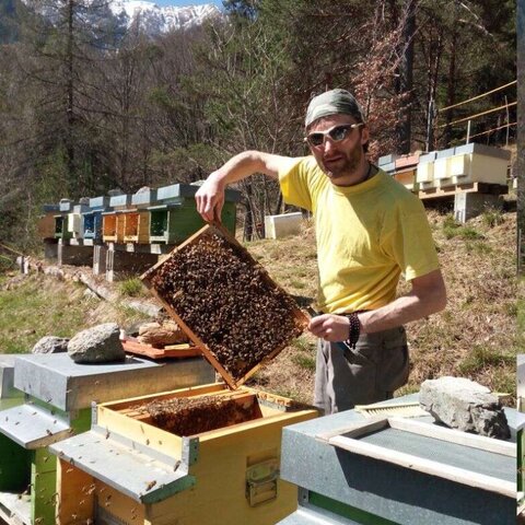 Beekeeping — hive inspection in the mountains